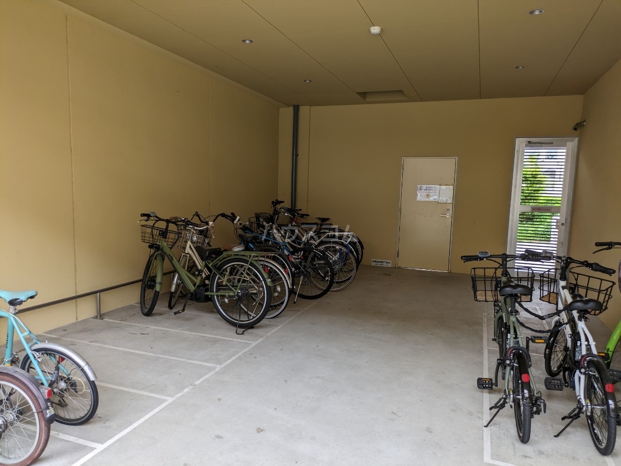 21/26 その他画像