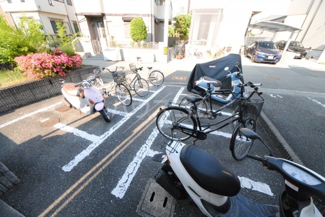 21/28 その他画像