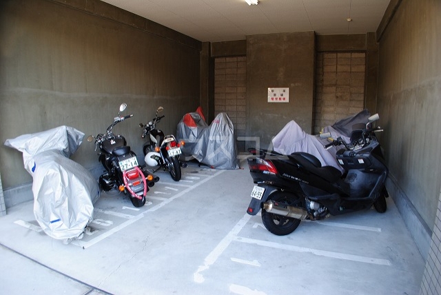 17/29 その他画像