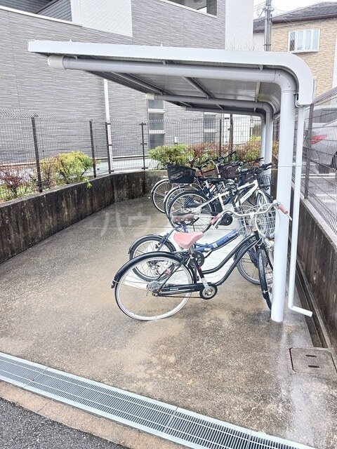 15/23 その他画像