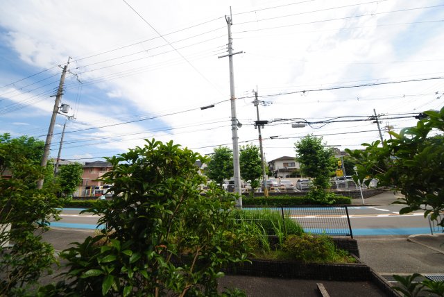 17/25 その他画像