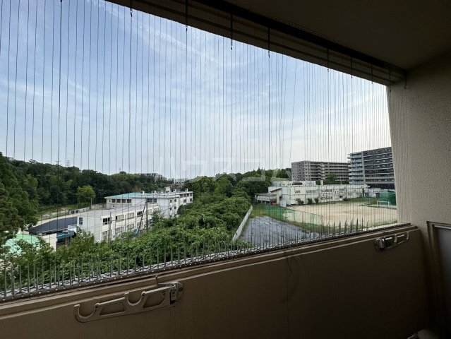 13/24 その他画像