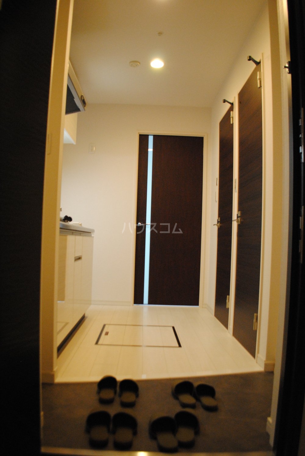 6/28 玄関