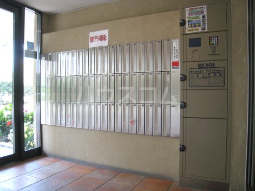 20/30 その他画像