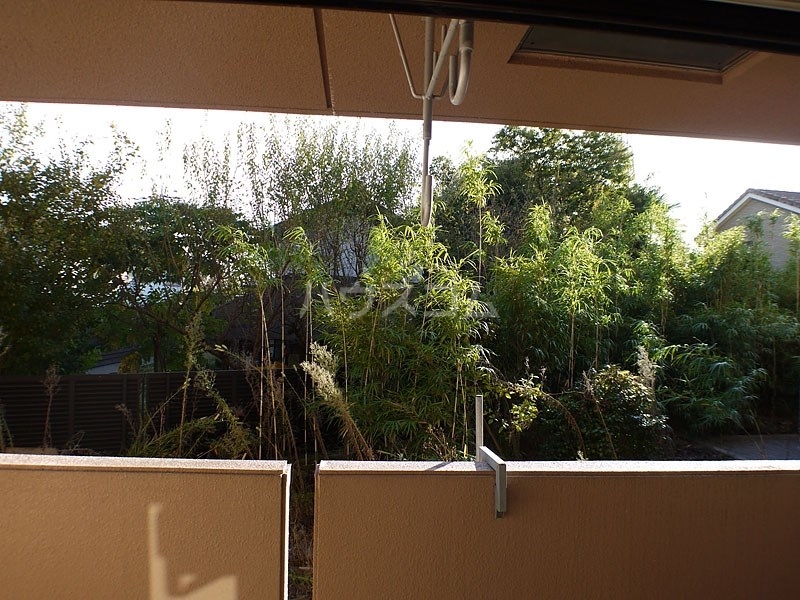 20/23 その他画像