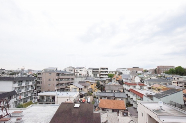 14/24 その他画像