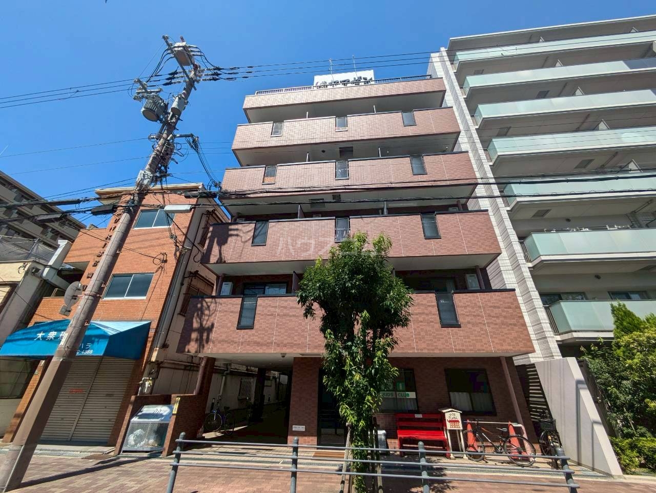 外観