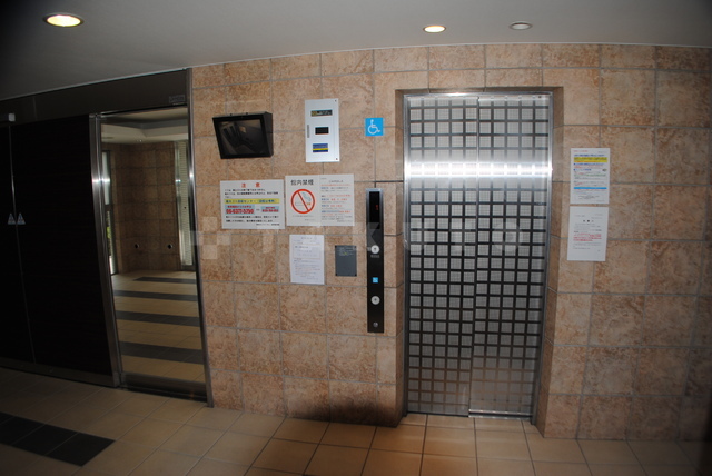 15/29 その他画像