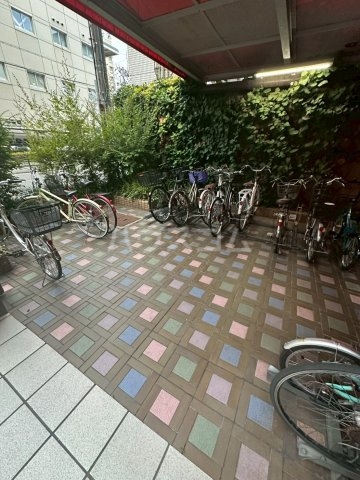 17/29 その他画像