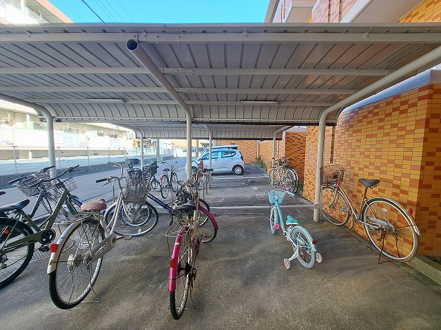 25/30 その他画像