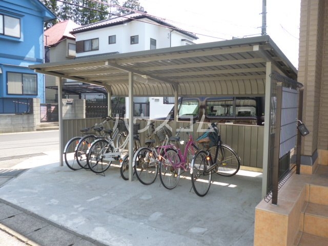 20/30 その他画像