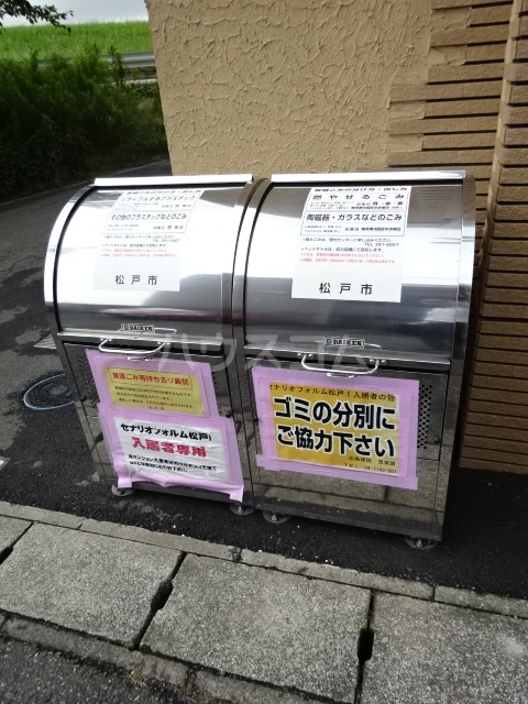 21/24 その他画像