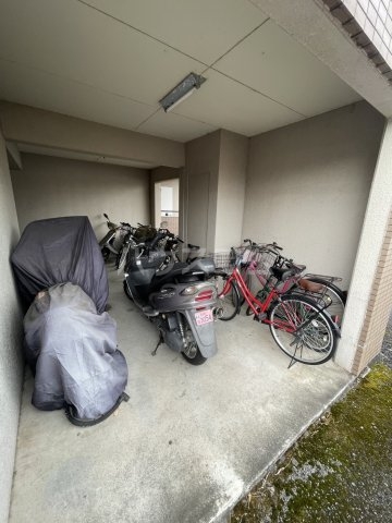 17/24 その他画像