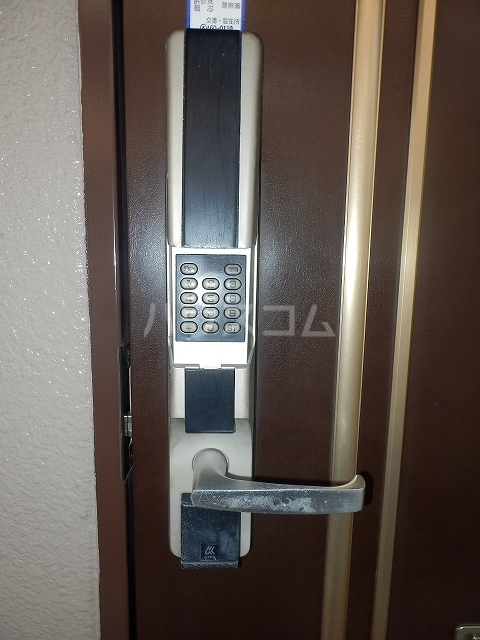 21/24 その他画像