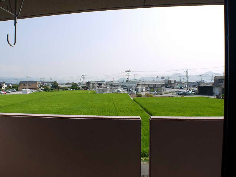 17/19 その他画像