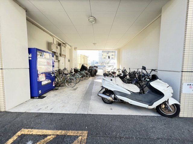 20/30 その他画像