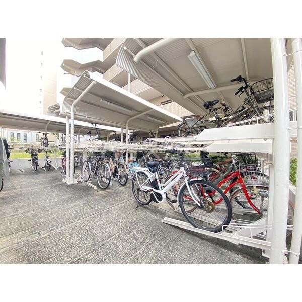 7/19 その他画像