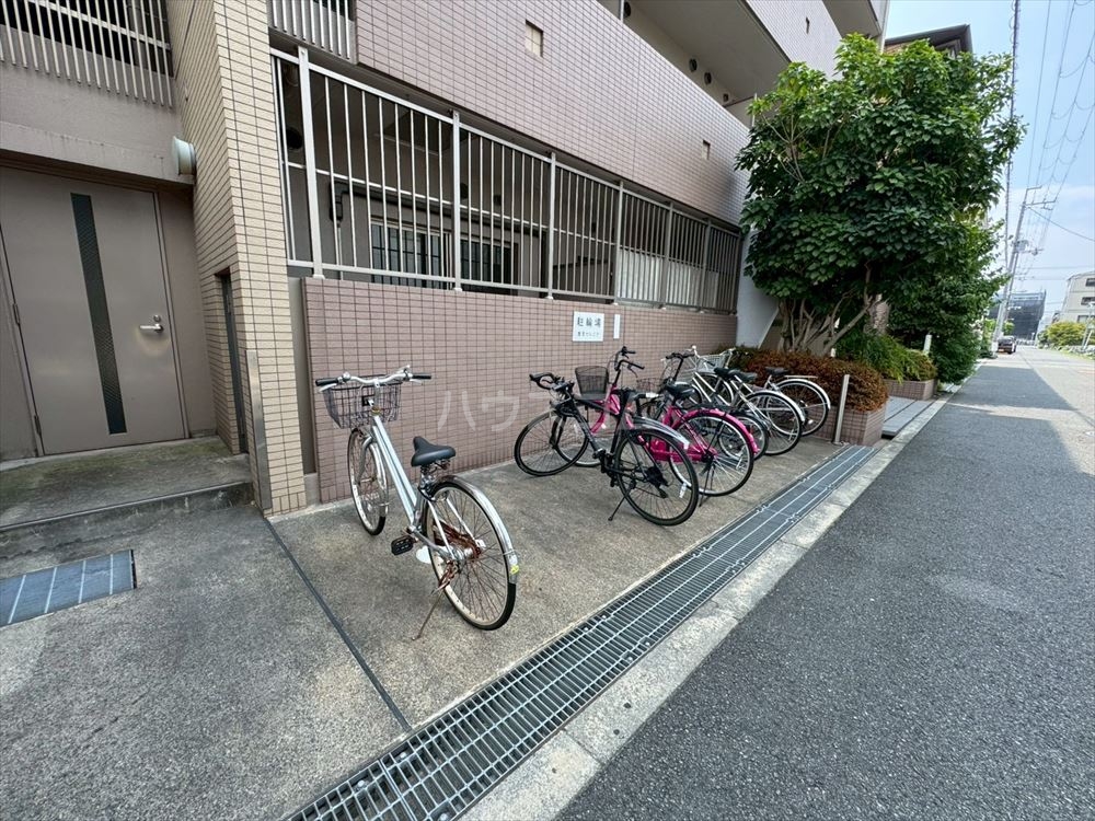 20/30 その他画像