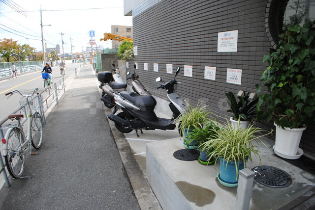 その他共有