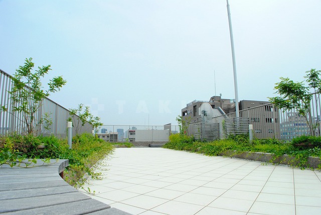 12/24 バルコニー