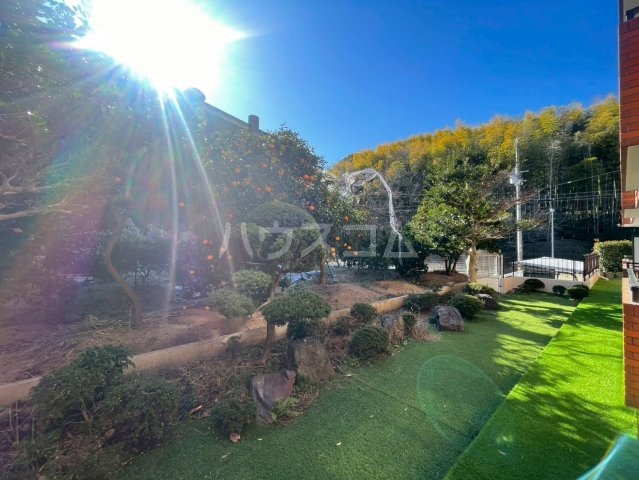 28/30 その他画像