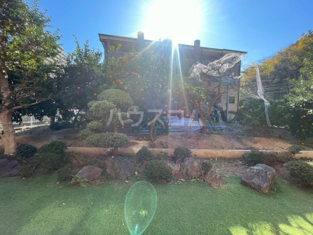 29/30 その他画像