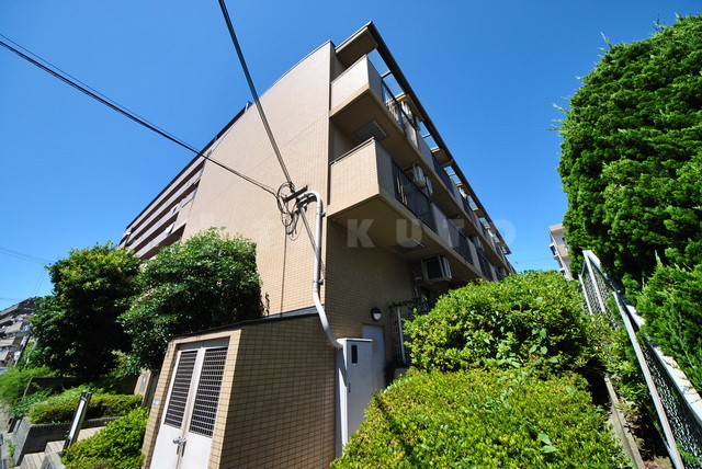 1/24 外観