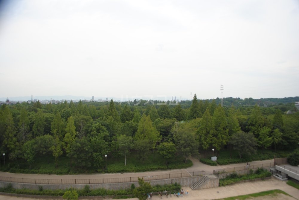 14/19 その他画像