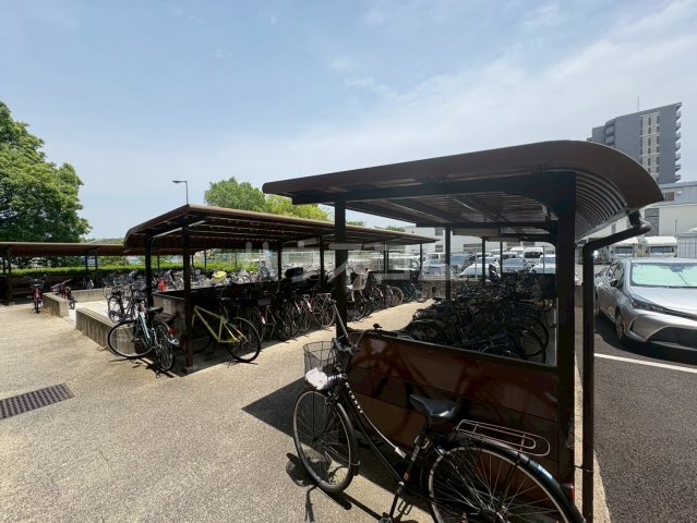 21/24 その他画像