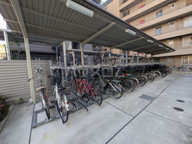 20/30 その他画像