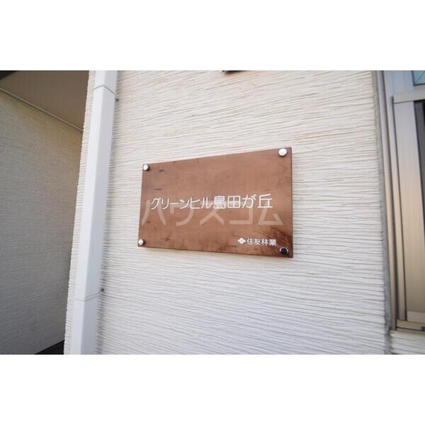 11/19 その他画像