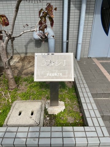 6/17 その他画像