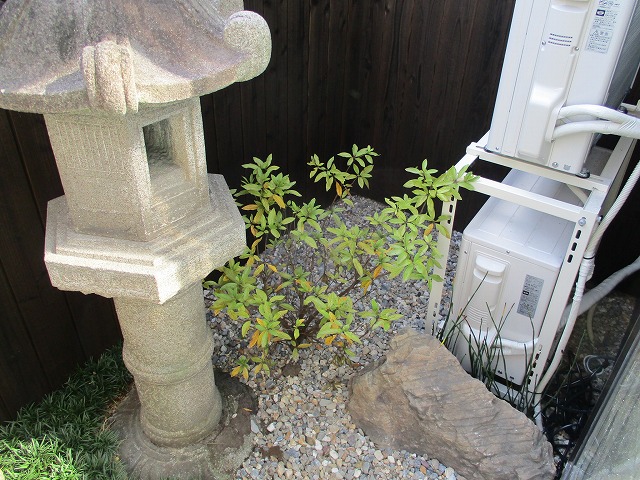 14/26 その他画像