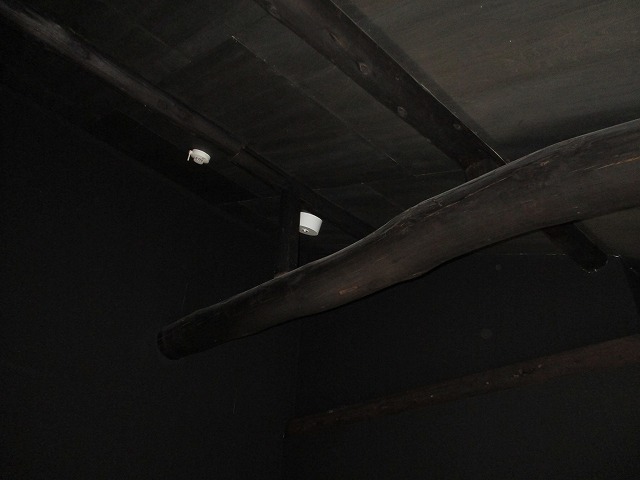 19/26 その他画像