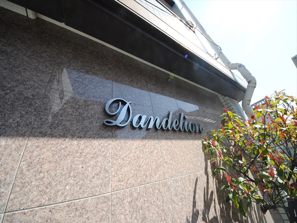 6/15 その他画像