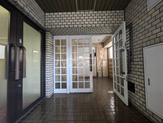 20/30 その他画像