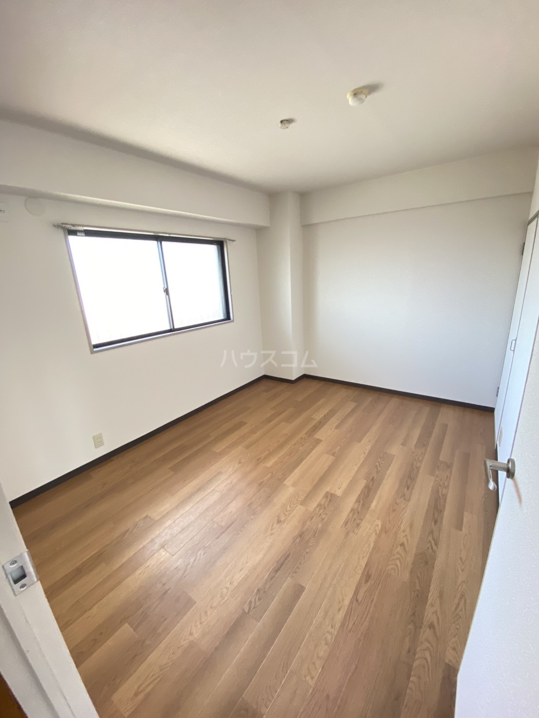 16/29 その他画像