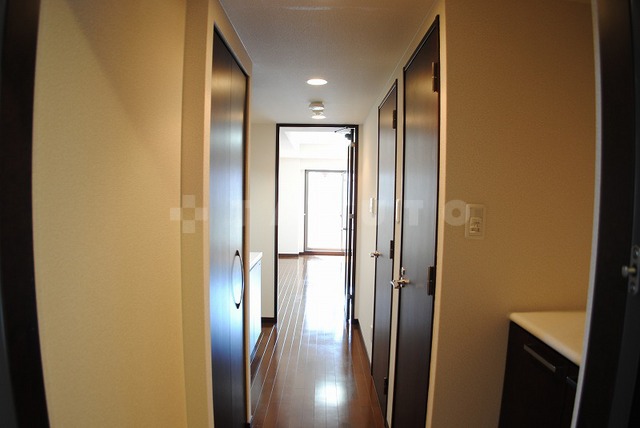 15/24 その他画像