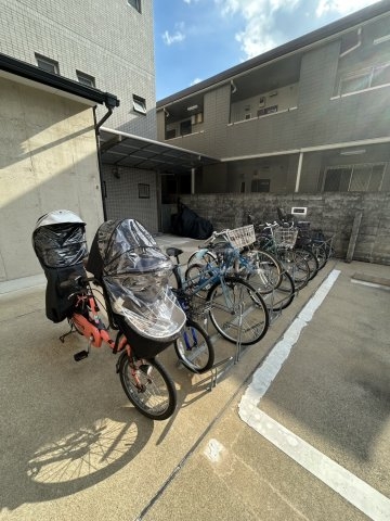 20/30 その他画像