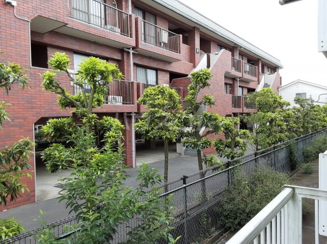 19/28 その他画像