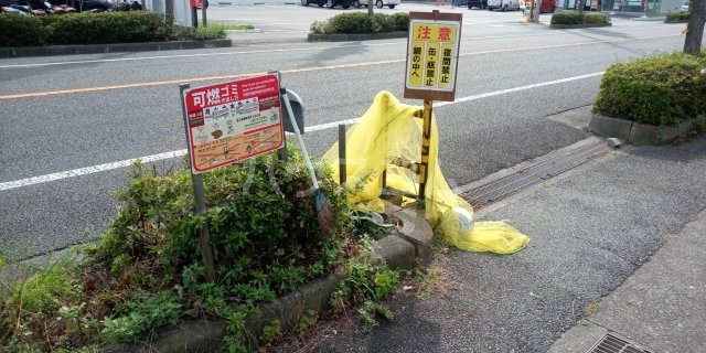 13/19 その他画像