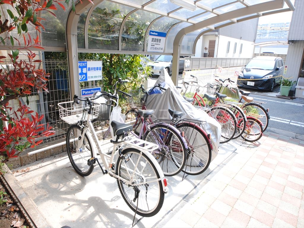 15/29 その他画像