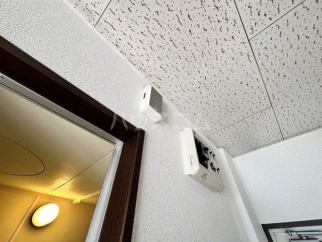 17/29 その他画像