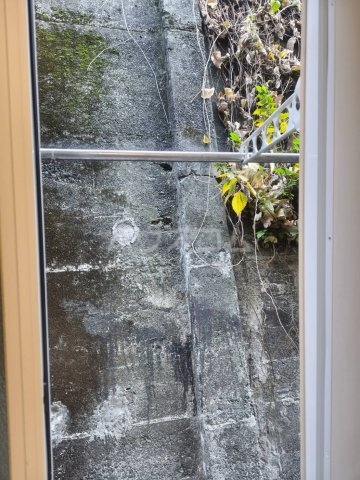 11/26 その他画像