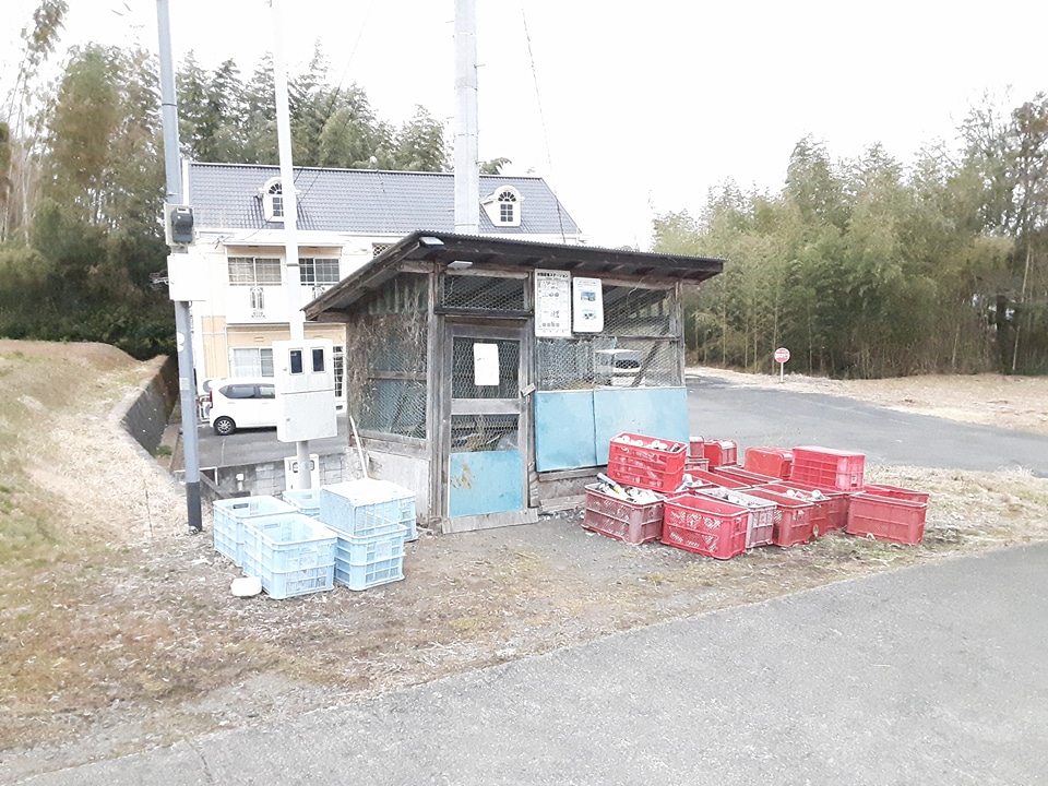 18/25 その他画像