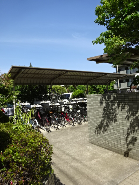 20/30 その他画像