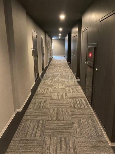 6/16 その他画像