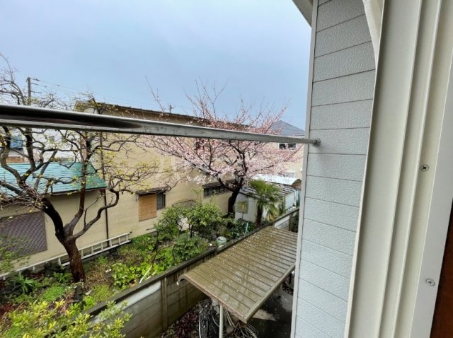 15/26 その他画像