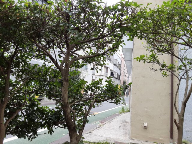 15/26 その他画像