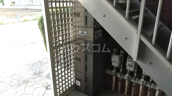 17/24 その他画像